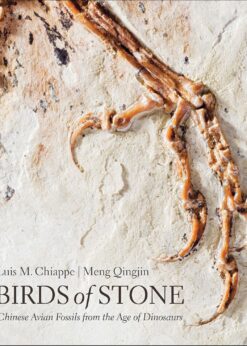 Birds of Stone: Chinese Avian Fossils from the Age of Dinosaurs eBook