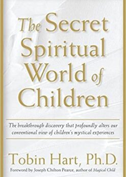 The Secret Spiritual World of Children eBook
