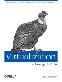 Virtualization: A Manager's Guide: Big Picture of the Who, What, and Where of Virtualization eBook