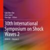 30th International Symposium on Shock Waves 2: ISSW30 - Volume 2 eBook