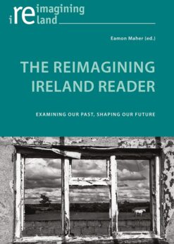 The Reimagining Ireland Reader: Examining Our Past, Shaping Our Future eBook