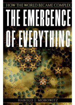 The Emergence of Everything: How the World Became Complex eBook