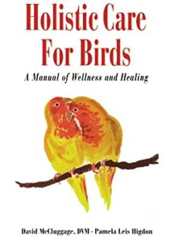 Holistic Care for Birds: A Manual of Wellness and Healing eBook