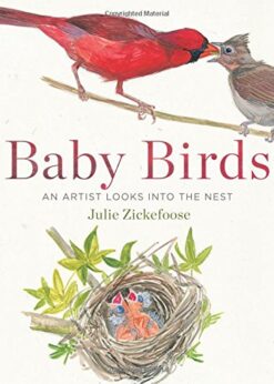 Baby Birds: An Artist Looks into the Nest eBook