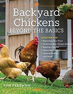 Backyard Chickens Beyond the Basics: Lessons for Expanding Your Flock, Understanding Chicken Behavior, Keeping a Rooster, Adjusting for the Seasons, Staying Healthy, and More! eBook