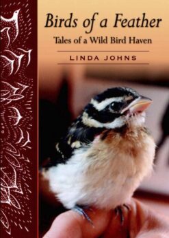 Birds of a Feather: Tales of a Wild Bird Haven eBook