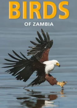 Pocket Guide Birds of Zambia eBook
