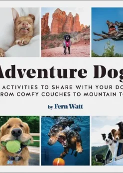 Adventure Dogs: Activities to Share with Your Dog - from Comfy Couches to Mountain Tops eBook