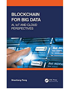 Blockchain for Big Data: AI, IoT and Cloud Perspectives eBook