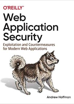 Web Application Security: Exploitation and Countermeasures for Modern Web Applications eBook