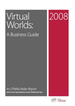 Virtual Worlds: A Business Guide eBook