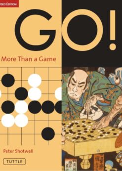 Go! More Than a Game eBook