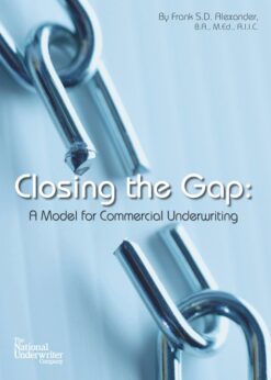Closing the Gap eBook