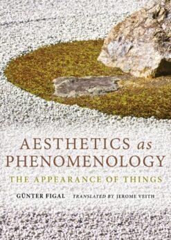 Aesthetics as Phenomenology: The Appearance of Things eBook
