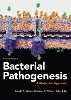 Bacterial Pathogenesis: A Molecular Approach eBook