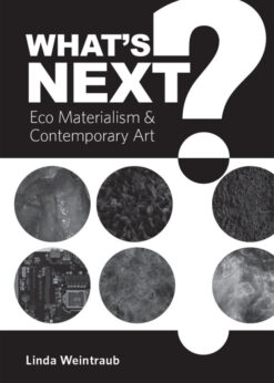 What's Next?: Eco Materialism and Contemporary Art eBook