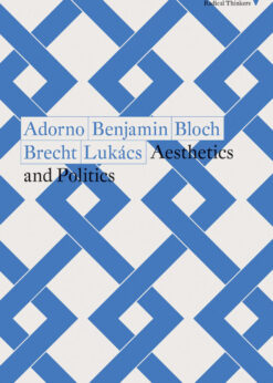 Aesthetics and Politics eBook