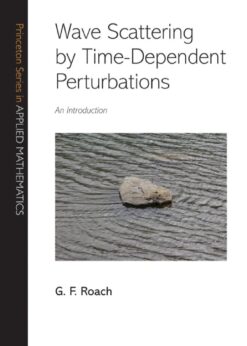 Wave Scattering by Time-Dependent Perturbations : An Introduction eBook
