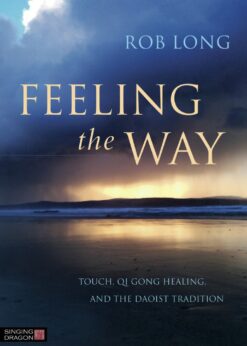 Feeling the Way: Touch, Qi Gong healing, and the Daoist tradition eBook