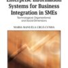 Enterprise Information Systems for Business Integration in SMEs eBook