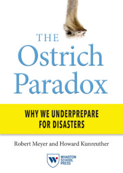 The Ostrich Paradox: Why We Underprepare for Disasters eBook