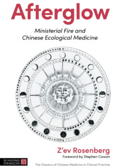 Afterglow: Ministerial Fire and Chinese Ecological Medicine eBook