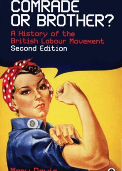 Comrade or Brother?: A History of the British Labour Movement eBook