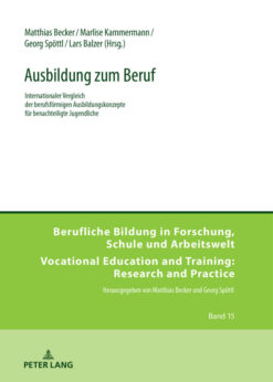 Ausbildung zum Beruf: Internationaler Vergleich der berufsfoermigen Ausbildungskonzepte fuer benachteiligte Jugendliche eBook
