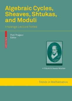 Algebraic Cycles, Sheaves, Shtukas, and Moduli: Impanga Lecture Notes eBook