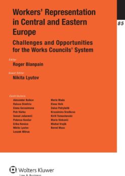 Workers' Representation in Central and Eastern Europe: Challenges and Opportunities for the Works Councils' System eBook