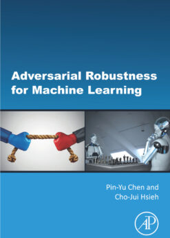Adversarial Robustness for Machine Learning eBook