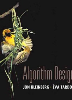 Algorithm Design, 1st Edition eBook