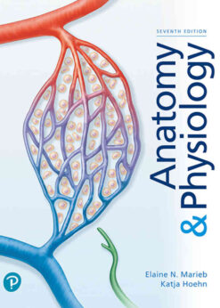 Anatomy & Physiology, 7th Edition eBook