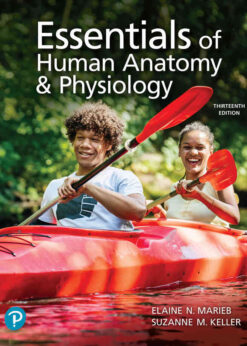 Essentials of Human Anatomy & Physiology, 13th Edition eBook