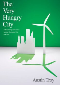 The Very Hungry City: Urban Energy Efficiency and the Economic Fate of Cities eBook