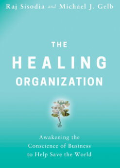 The Healing Organization: Awakening the Conscience of Business to Help Save the World eBook