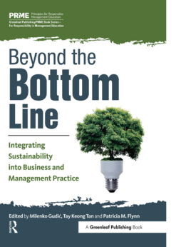 Beyond the Bottom Line: Integrating Sustainability into Business and Management Practice eBook