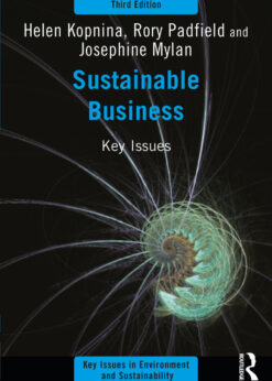 Sustainable Business: Key Issues eBook