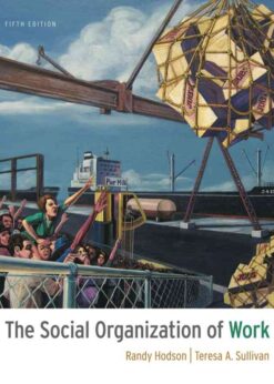The Social Organization of Work, 5th Edition eBook