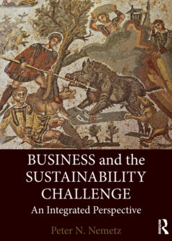 Business and the Sustainability Challenge: An Integrated Perspective eBook