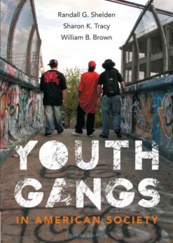 Youth Gangs in American Society, 4th Edition eBook