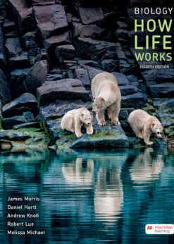 Biology: How Life Works, 4th Edition eBook