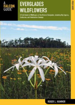 Everglades Wildflowers: A Field Guide to Wildflowers of the Historic Everglades, including Big Cypress, Corkscrew, and Fakahatchee Swamps eBook