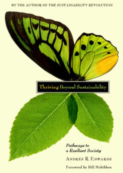 Thriving Beyond Sustainability: Pathways to a Resilient Society eBook