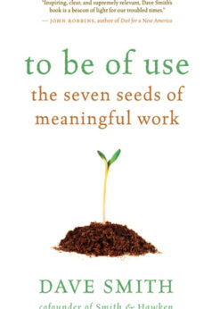 To Be of Use: The Seven Seeds of Meaningful Work eBook