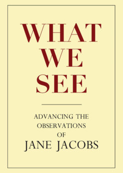 What We See: Advancing the Observations of Jane Jacobs eBook