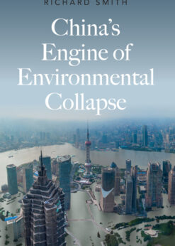 China's Engine of Environmental Collapse eBook