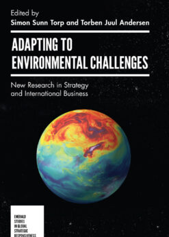 Adapting to Environmental Challenges: New Research in Strategy and International Business eBook