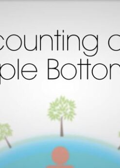 Accounting and the Triple Bottom Line: Learn how to calculate financial, social and environmental performance of a company and understand best methods totrack sustainability within a firm eBook
