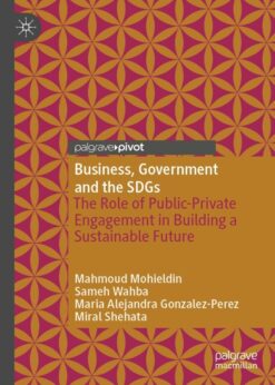Business, Government and the SDGs: The Role of Public-Private Engagement in Building a Sustainable Future eBook